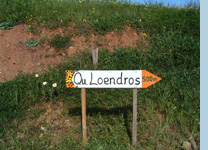 Wegweiser zur Quintinha Loendros